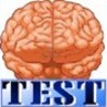 Instant Memory Test