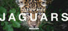 Living with Jaguars