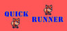 Quick Runner Image