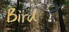 Bird (Meng Games) Image