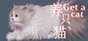 Get a cat Image