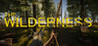 THE WILDERNESS Image