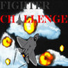 Fighter Challenge Image