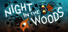 Night in the Woods Image