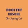 Rooftop Rascal: The Spooky Cat