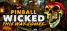 Pinball Wicked