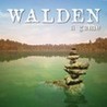 Walden, a game Image