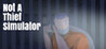 Not A Thief Simulator