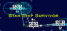 Star Ship Survivor Image