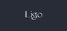 Ligo Image