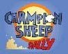 Champion Sheep Rally Image