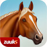 Farm Hill Climb Horse Image