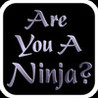 Ninja? (2012) Image
