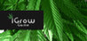 iGrow Game