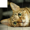 Kids Slider Puzzles Image