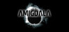 Amigdala