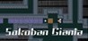 Sokoban Gianta