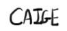 CAIGE: C** Overflow Image
