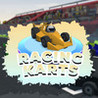 Racing Karts Image