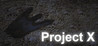 Project X (2017) Image