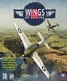 Wings of Destiny Image