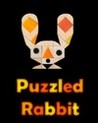 Puzzled Rabbit Image