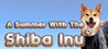 A Summer with the Shiba Inu Image
