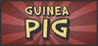 Guinea Pig Image