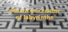 Advanced creator of labyrinths