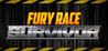 Fury Race Survivor Image