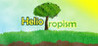 Heliotropism Image