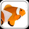 Fish the Fishes Image