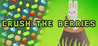 Crush The Berries