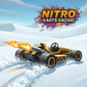 Nitro Karts Racing Image