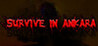 Survive In Ankara Image