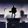 Roof Run Image