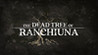 The Dead Tree of Ranchiuna