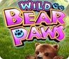 IGT Slots: Wild Bear Paws Image