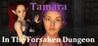 Tamara In The Forsaken Dungeon Image
