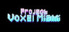 Project Voxel Miami Image