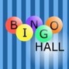 BINGO Hall Image
