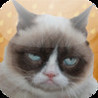 Grumpy Cat: Unimpressed Image