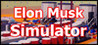 Elon Musk Simulator Image