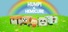 Humpi and Hemicube Image