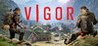Vigor Image