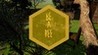 Be a Bee