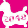 Rody2048 Image