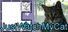 JustWatchMyCat Image