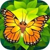 Flutter: Butterfly Sanctuary Image