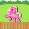 Pony Race HD Image